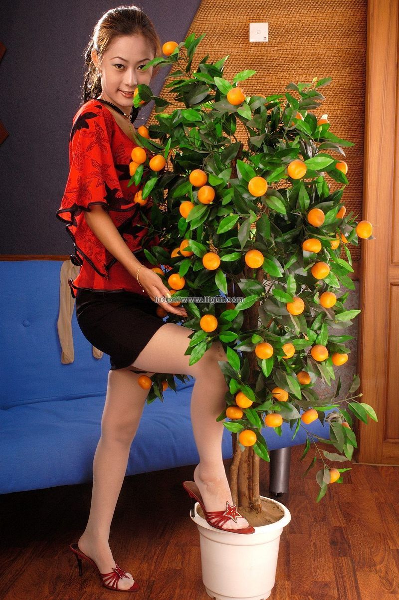 图片[5]-[Ligui丽柜美腿]2005.1.24-芒果图库