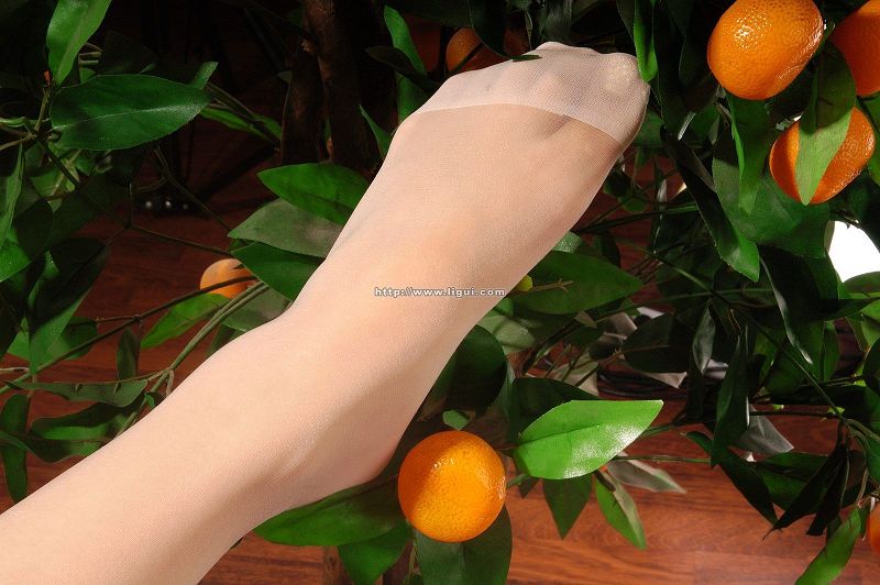 图片[4]-[Ligui丽柜美腿]2005.1.24-芒果图库