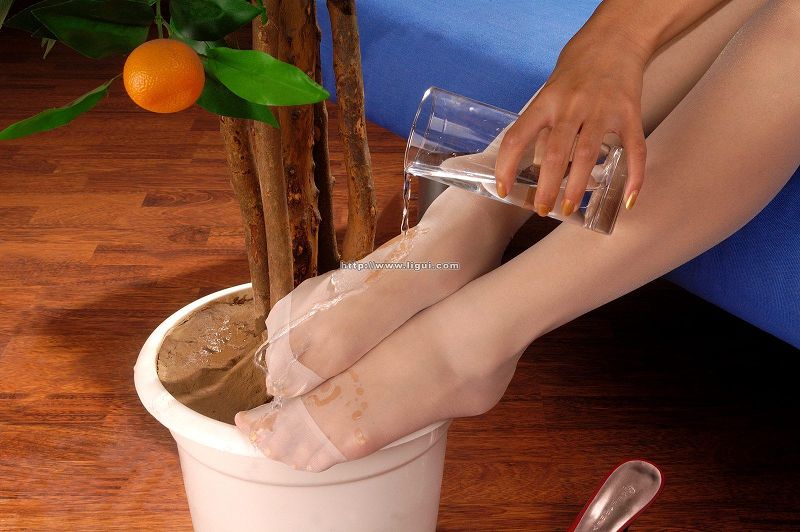 [Ligui丽柜美腿]2005.2.11-芒果图库