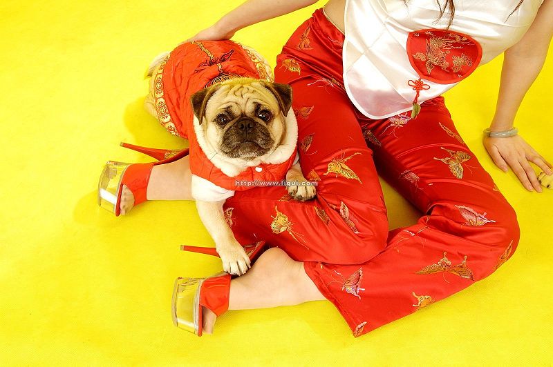 图片[7]-[Ligui丽柜美腿]2006.01.29-芒果图库