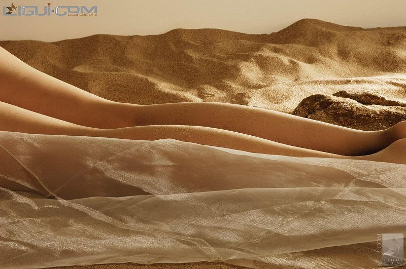 图片[2]-[Ligui丽柜美腿]2008.06.24 丝袜美足上的丝绸之路-芒果图库