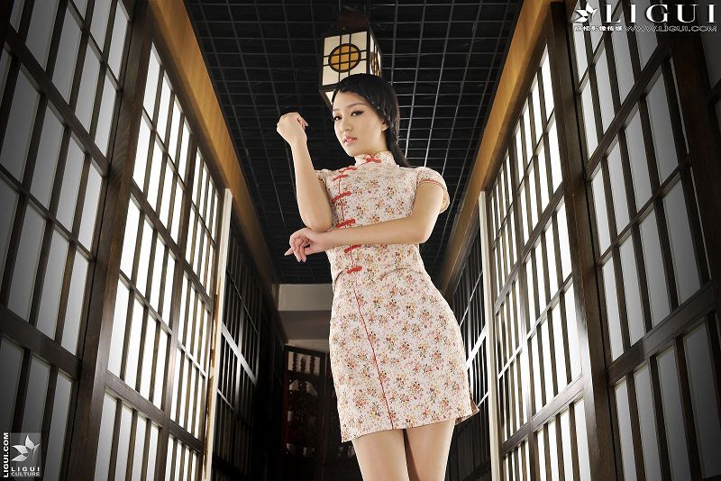 图片[5]-[Ligui丽柜美腿]2013.11.05 Model Amily-芒果图库