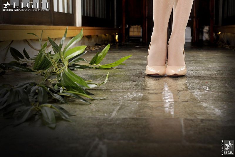 图片[8]-[Ligui丽柜美腿]2013.11.05 Model Amily-芒果图库