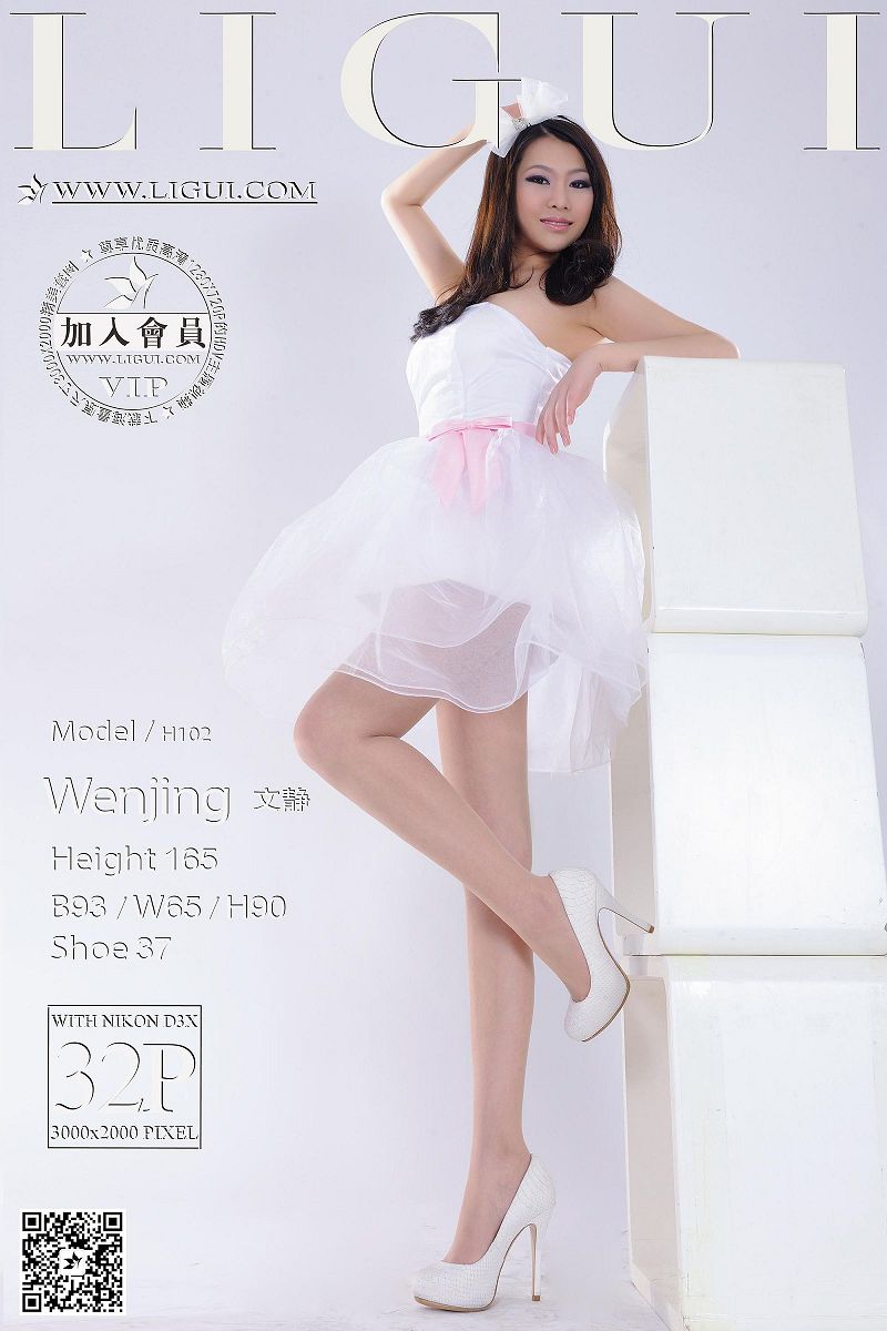 [Ligui丽柜美腿]2015.08.20 Model 文静-芒果图库