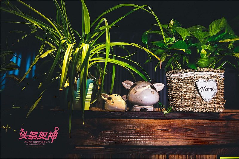 图片[6]-[Toutiaogirls] 2018.05.08 大晗-芒果图库