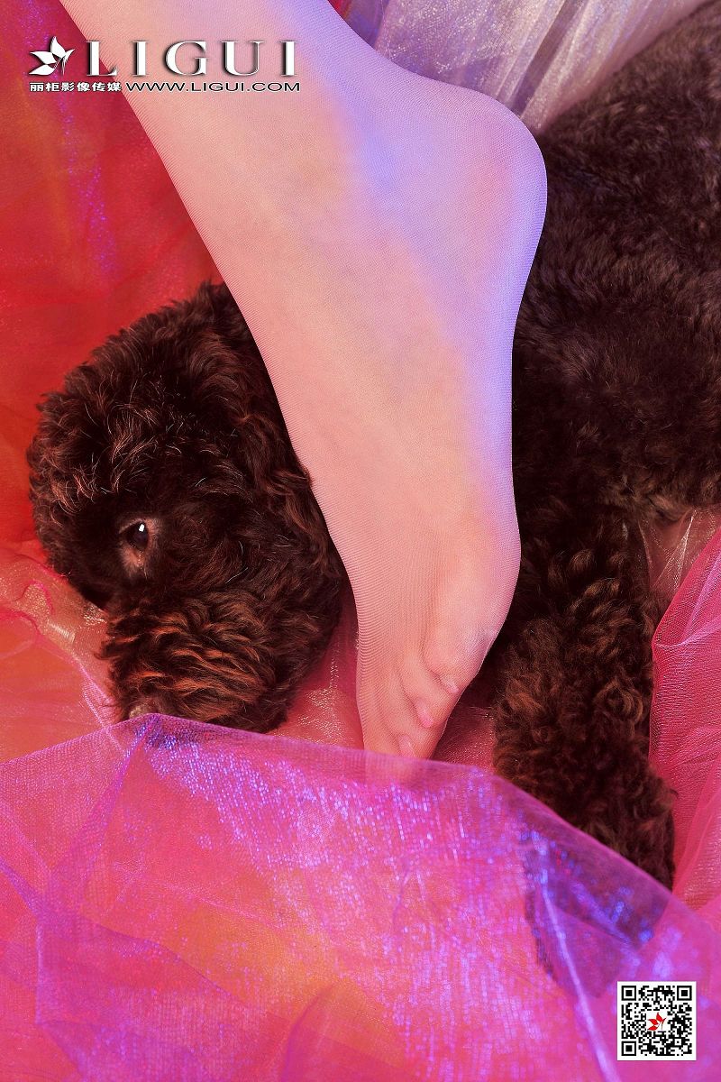 图片[4]-[Ligui丽柜美腿]2019.06.16 网络丽人 Model 美辰-芒果图库