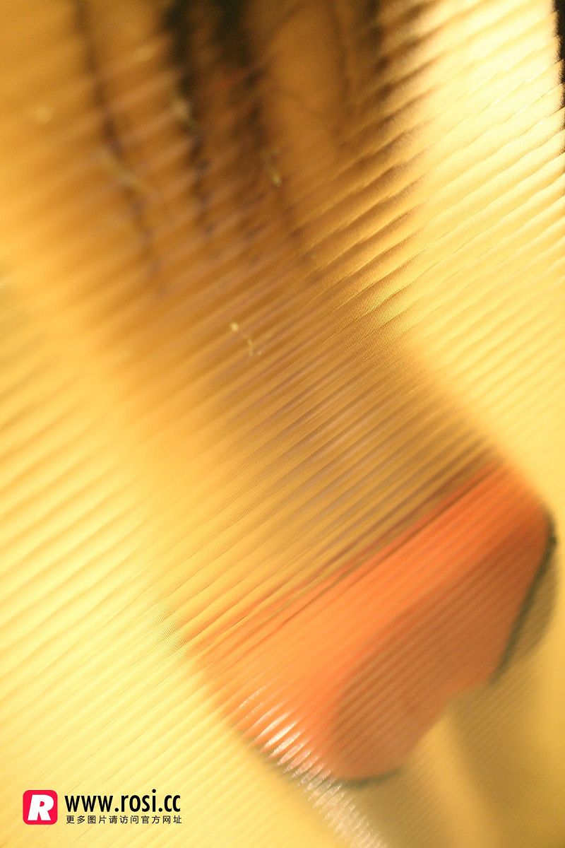 图片[2]-[ROSI美女图]2015.12.15 NO.1468-芒果图库