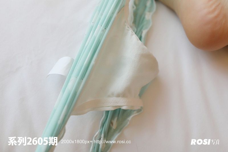 [ROSI美女图]2019.01.24 NO.2605-芒果图库